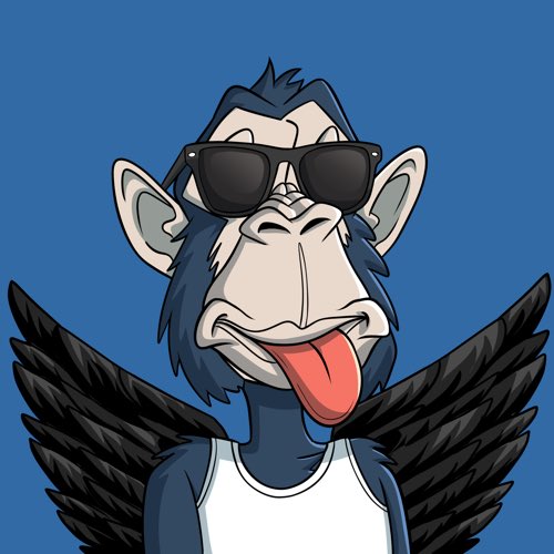 Ape Nation tweet media