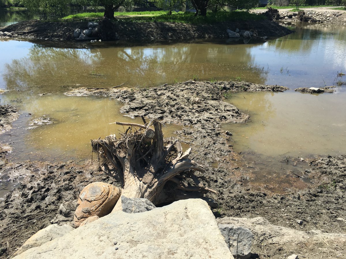 jeff_braybrook's tweet photo. This is not good. @ottawacity trying to add more shoreline to Rideau River in Brewer Park. Either didn't work or not finished.  Not dug out so it sealed itself at both ends and created a stagnant slew. #DFO might have something to say about this also. https://t.co/YAKMSgZMVH