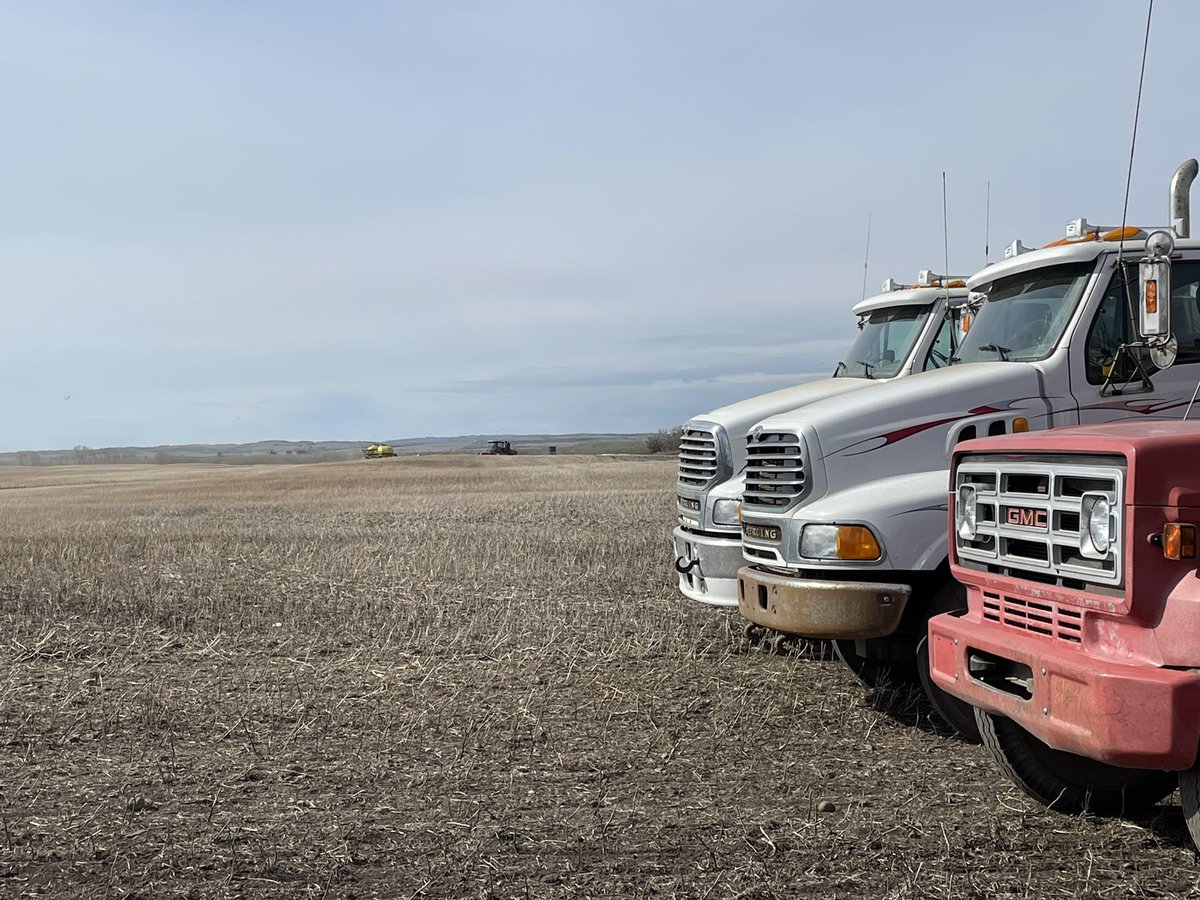 DaveUlan's tweet photo. #Plant22 @AllianceSeed #AACRedberry going in the ground near Lloydminster @AglandCo @Versatileag1 https://t.co/6mbS1qhRhT