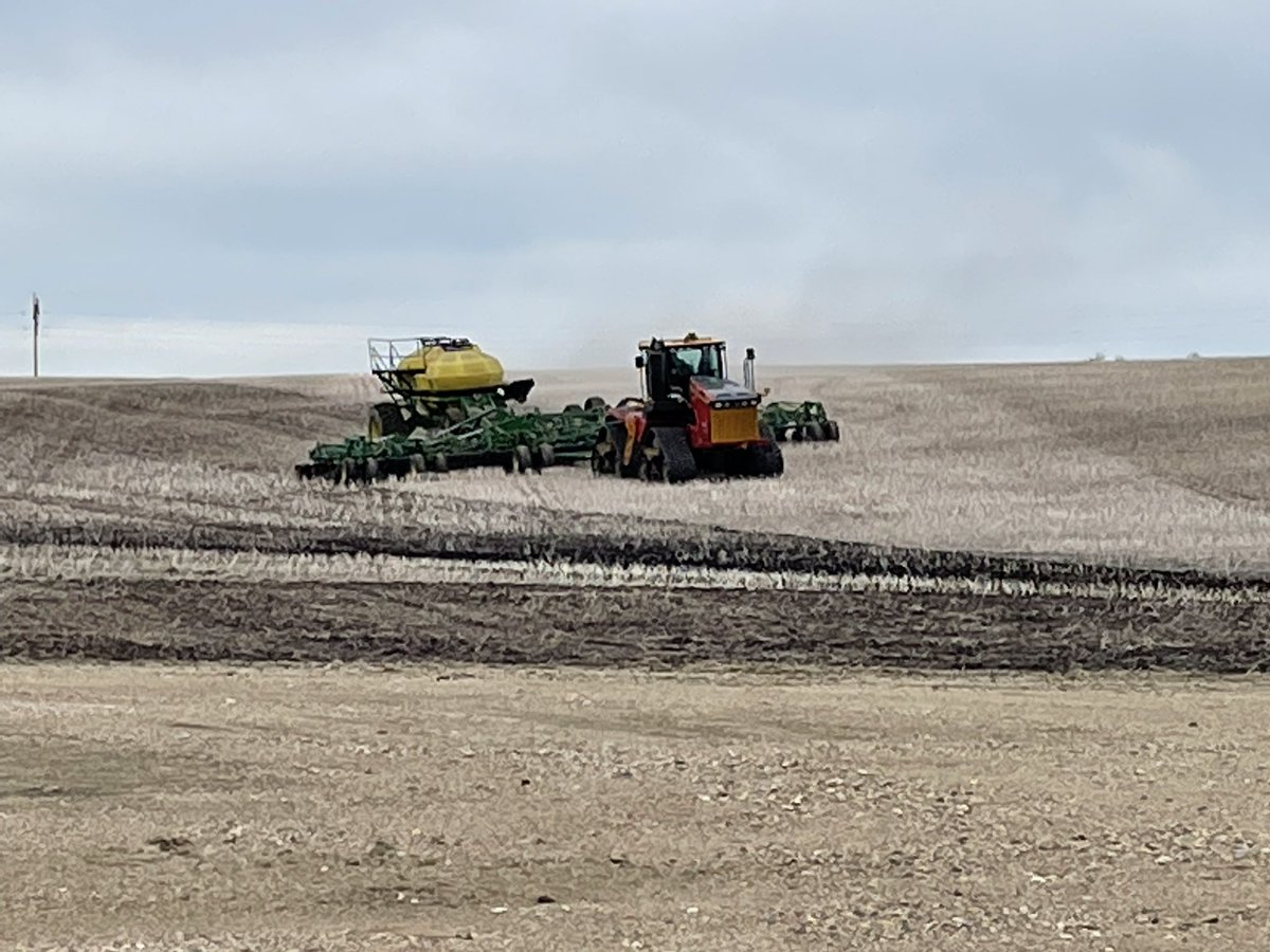 DaveUlan's tweet photo. #Plant22 @AllianceSeed #AACRedberry going in the ground near Lloydminster @AglandCo @Versatileag1 https://t.co/6mbS1qhRhT