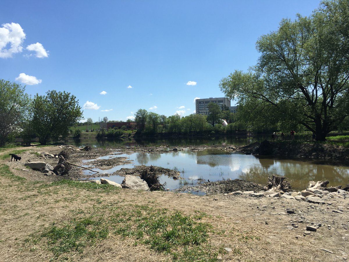 jeff_braybrook's tweet photo. This is not good. @ottawacity trying to add more shoreline to Rideau River in Brewer Park. Either didn't work or not finished.  Not dug out so it sealed itself at both ends and created a stagnant slew. #DFO might have something to say about this also. https://t.co/YAKMSgZMVH
