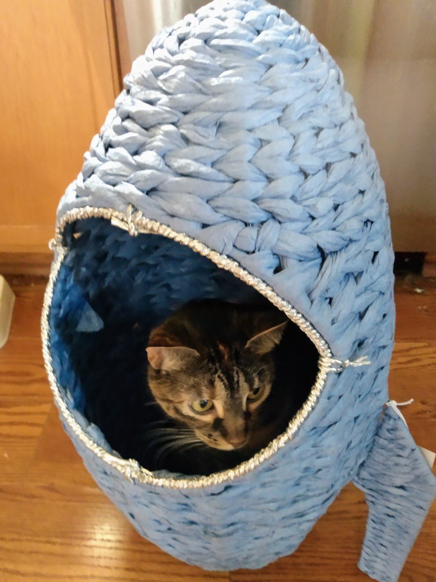 sunnstokes's tweet photo. Look what we bought at Aldi, sure it said it was a hamper or storage or something, but I knew it was a cat rocket! Molly to control, it's rocket cat, ready for launch! #CatsOfTwitter #rocketcat #aldi https://t.co/j7w7psKs9j