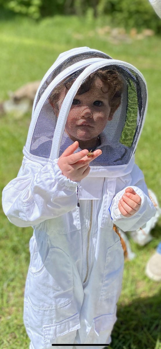 The bee’s are busy!!!!!!
Stay tuned for Dawson’s honey 🍯 
#honeybees #youngestbeekeeper
#besthoneyever