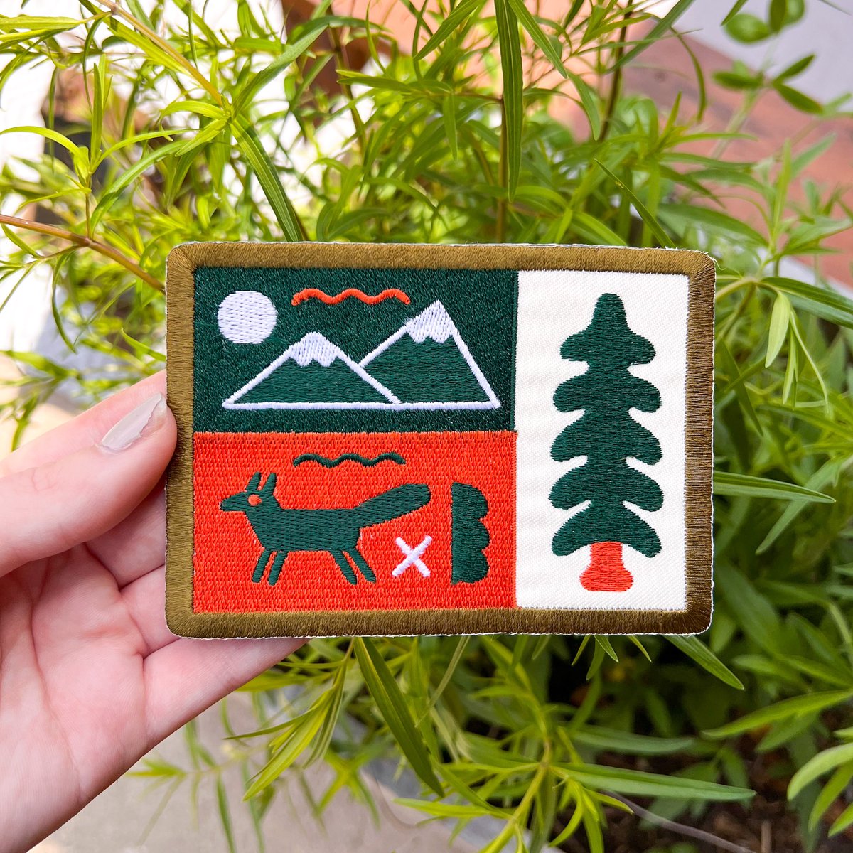birdwarde's tweet photo. 〰🌲🐺🏔〰 https://t.co/TKU9VLKk53