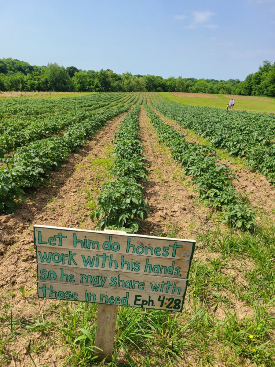 jedcoppenger's tweet photo. So thankful to see all of this food growing at the @redemption_city property so that we can give it to some folks in our area that desperately need it in the next several months! Praying for this food, the people it will go to, &amp; the conversations along the way! #hopeforthehungry https://t.co/28exkTVTXn
