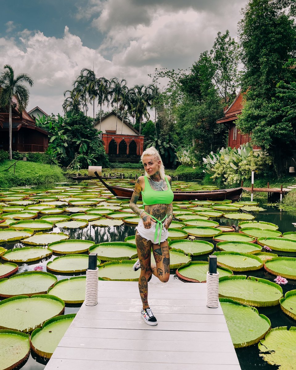 MAXY STYLE ⚡️ tweet media