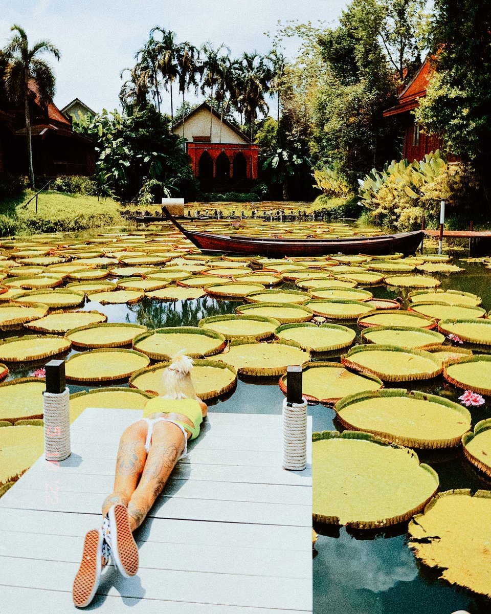 MAXY STYLE ⚡️ tweet media