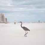 Photo by Perdido Key (@VisitPerdidoKey)