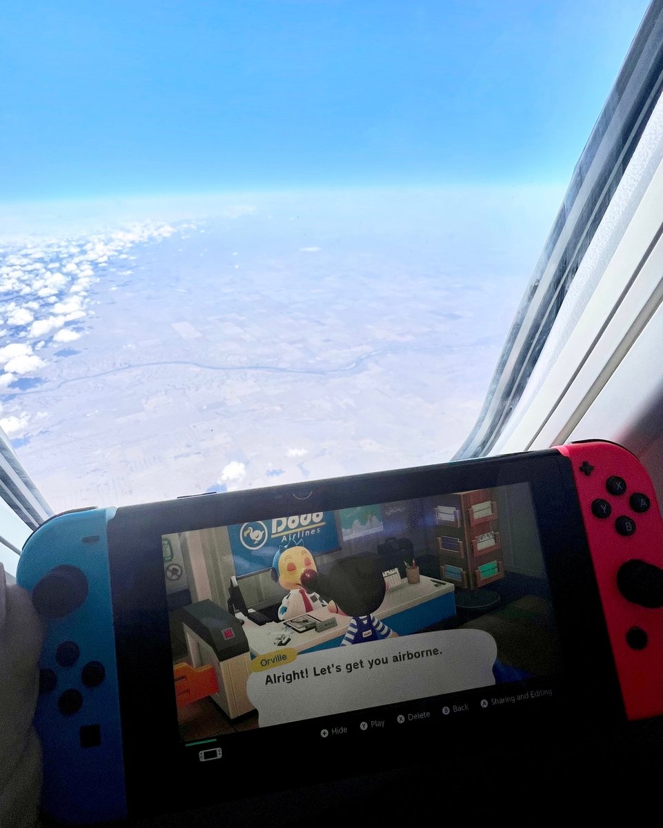 sweetsmurph's tweet photo. *this is your captain speaking* ✈️🙊 #animalcrossing #travelpic #irony @lynx_air https://t.co/nvz1mtgTGX