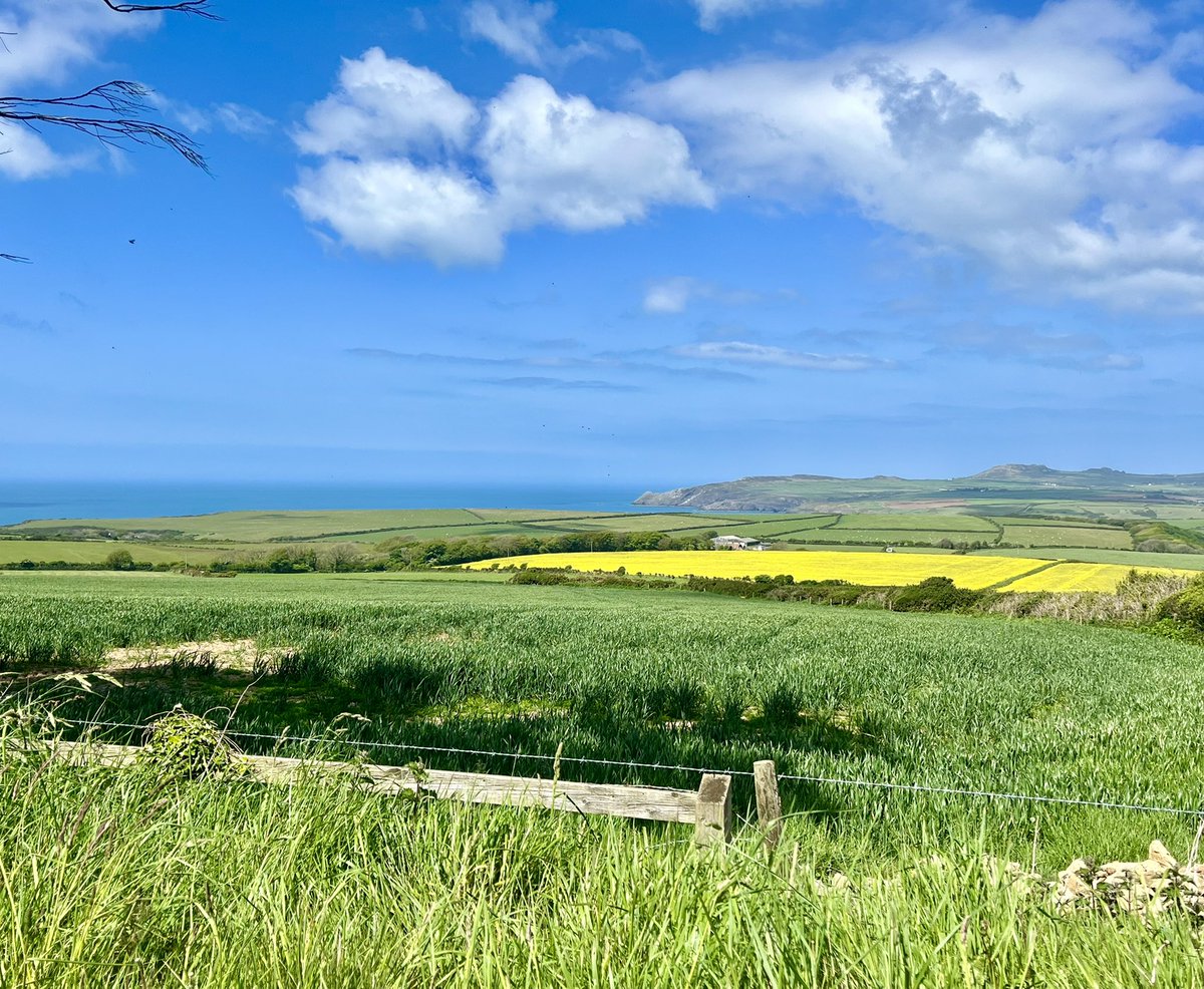 Lowri Bowen tweet media