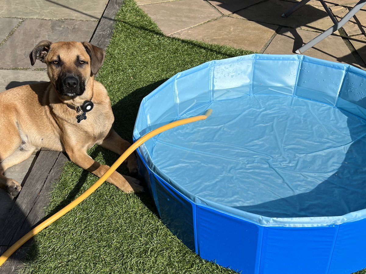 Mummy bought me a massive drinking bowl