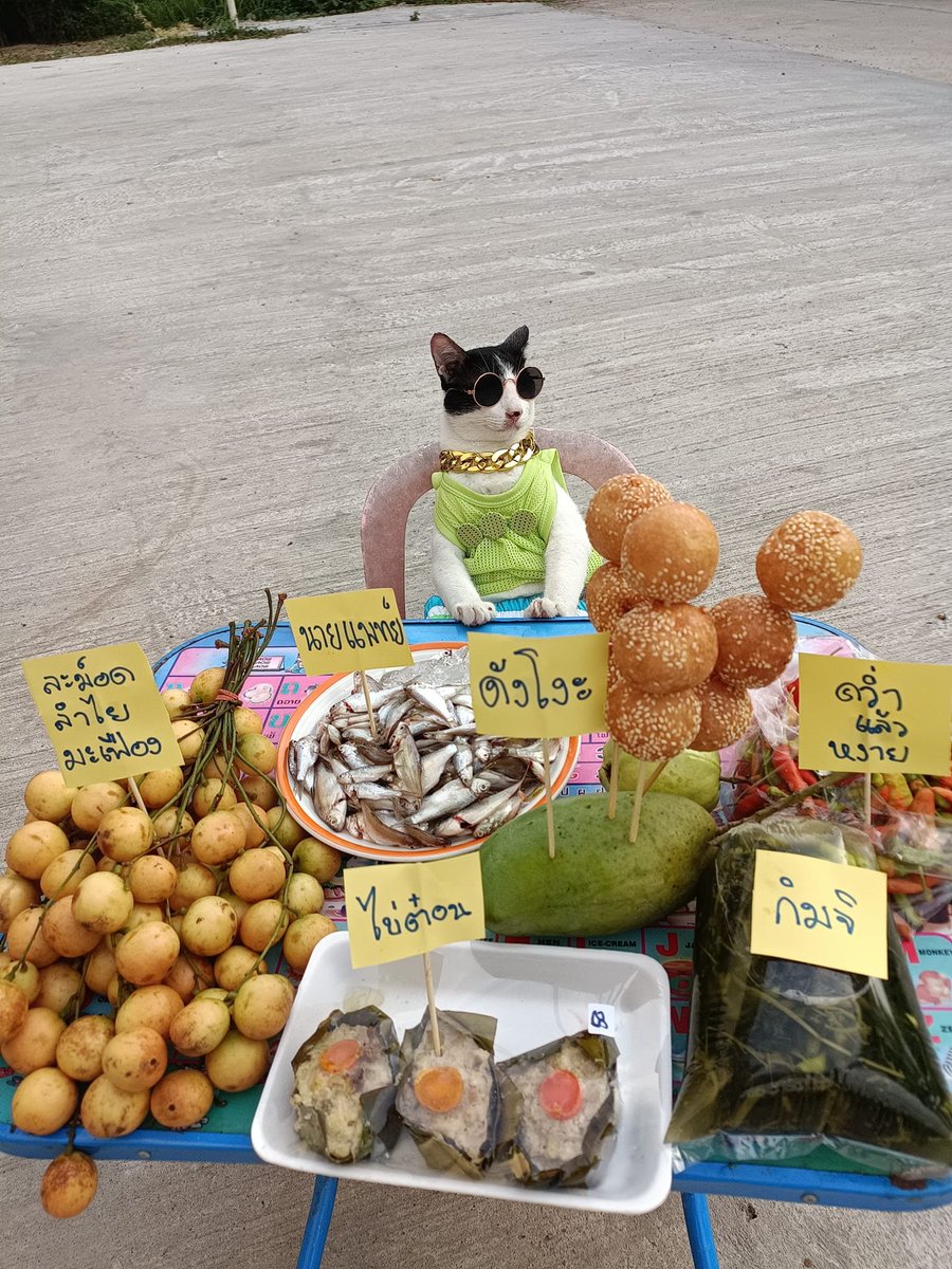 cats with jobs 🛠 (@catworkers) on Twitter photo 