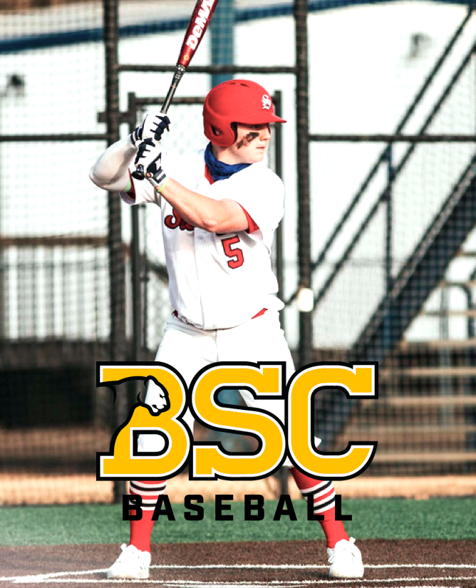 Southwest Tennessee Baseball tweet media