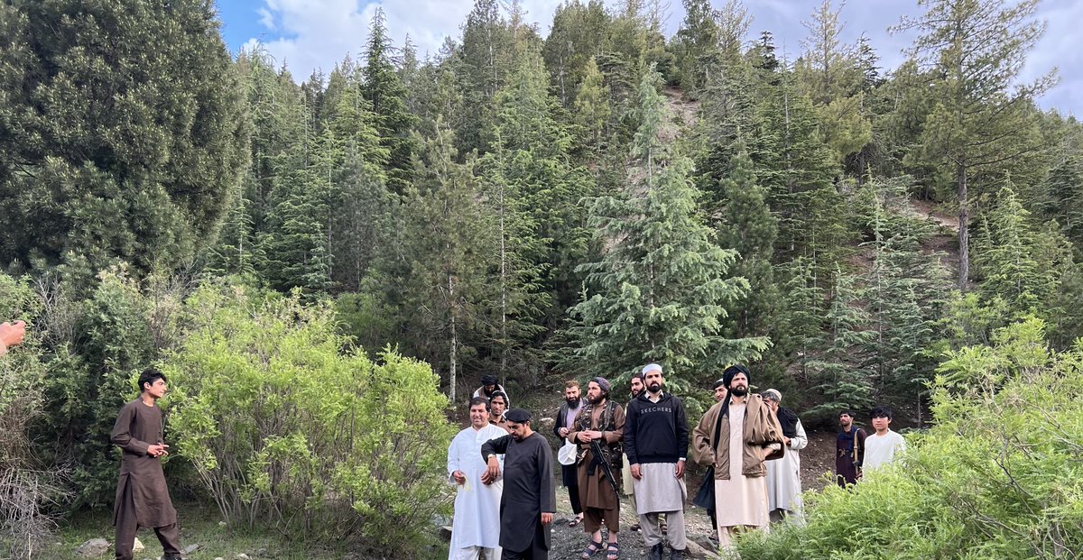 ShafiOriakhil's tweet photo. اختر مې یارانو سره لویې پکتیا ته وړی وو.
کلیوالو ویل امارت د ځنګلونو په وهلو سخت بندیز لګولی.
ځنګلونو کی یې د رمو پېول ځکه بند کړي چې د نښتر/ځنغوزو نوي راټوکېدلو نیالګو محافظت وشي. نن خبر شوم بدخشان کی ې مارکوپولو ښکار مطلق بند کړی چې نسل ې په زېاتېدوی دی.
وطن اوس مالک پیدا کړی. https://t.co/IybT38DT1d