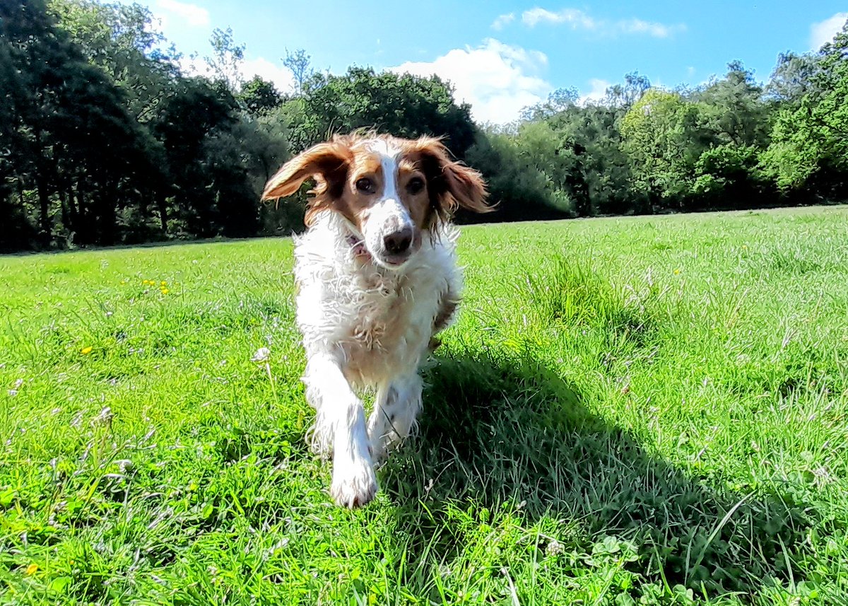 Cath Cooper 🍃💚🍃 #PlasticFreeJuly tweet media