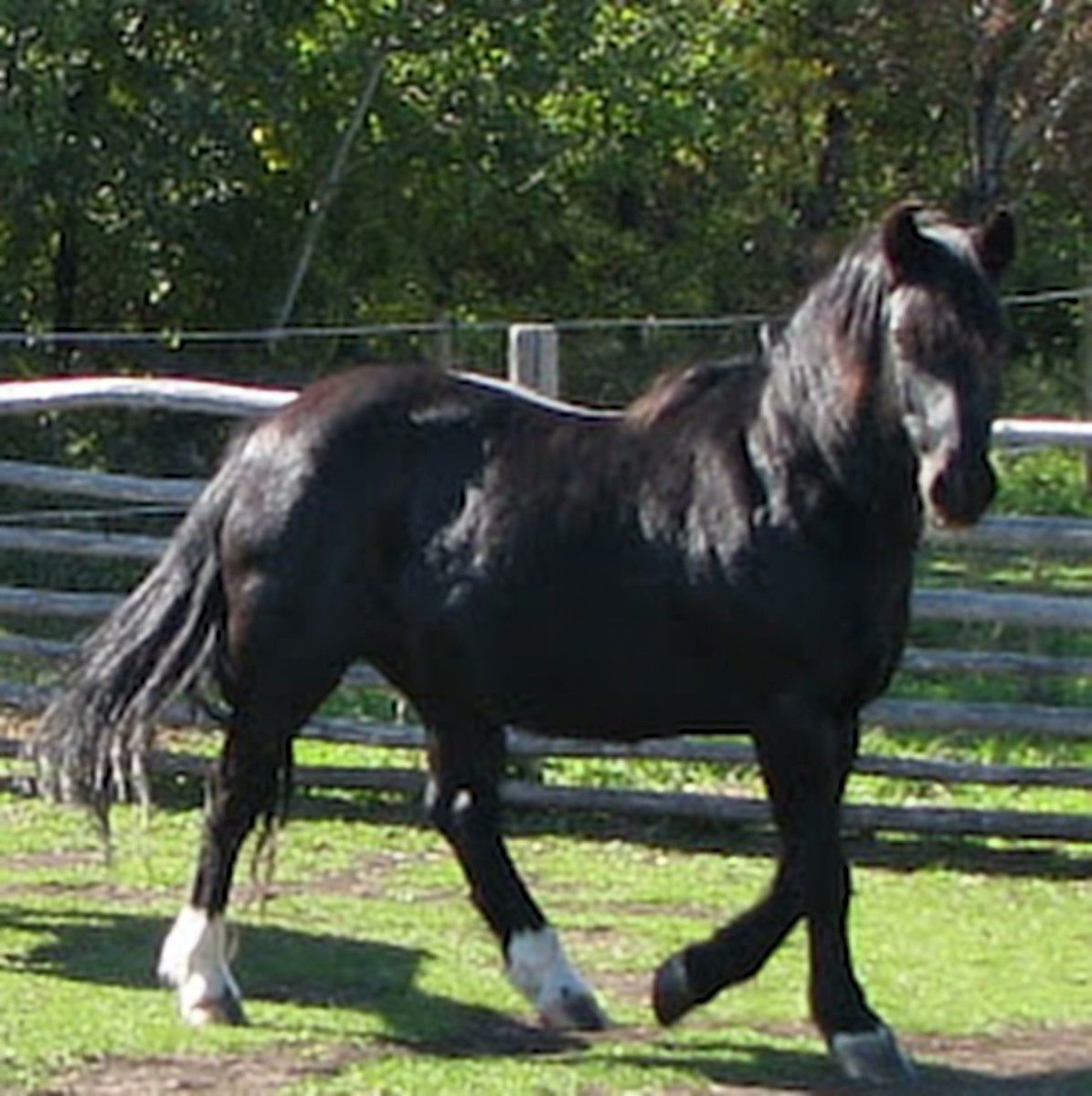 Saskatchewan Weekend tweet media