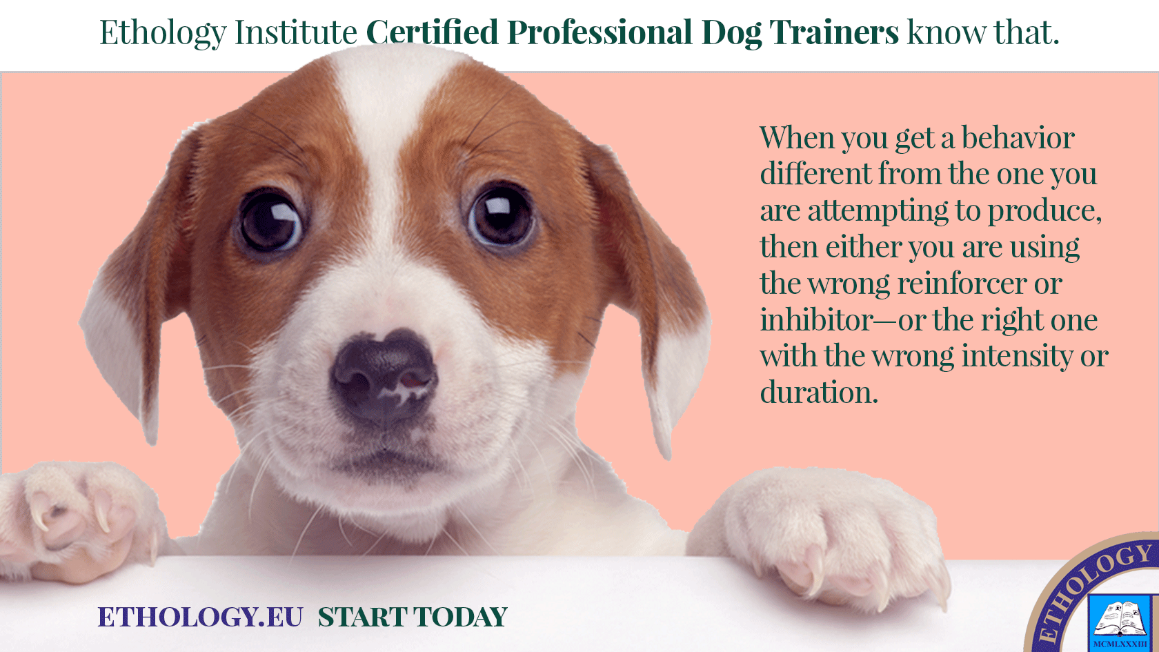 Certified professional on sale dog trainer