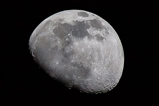 BA_Biggie's tweet photo. Test shot and settings for Sunday. Pumped for this eclipse!!
@CanonUSAimaging @spann @WSAVAlysaC
#singleexposure #canonusa #moon #moonscape #teamcanon #lowlightphotography #moonphotography #moonmagic #moonphoto #teamcanon #moonwalker #moonphases #moonwalkers #moonpics https://t.co/xO1ddR9Kry