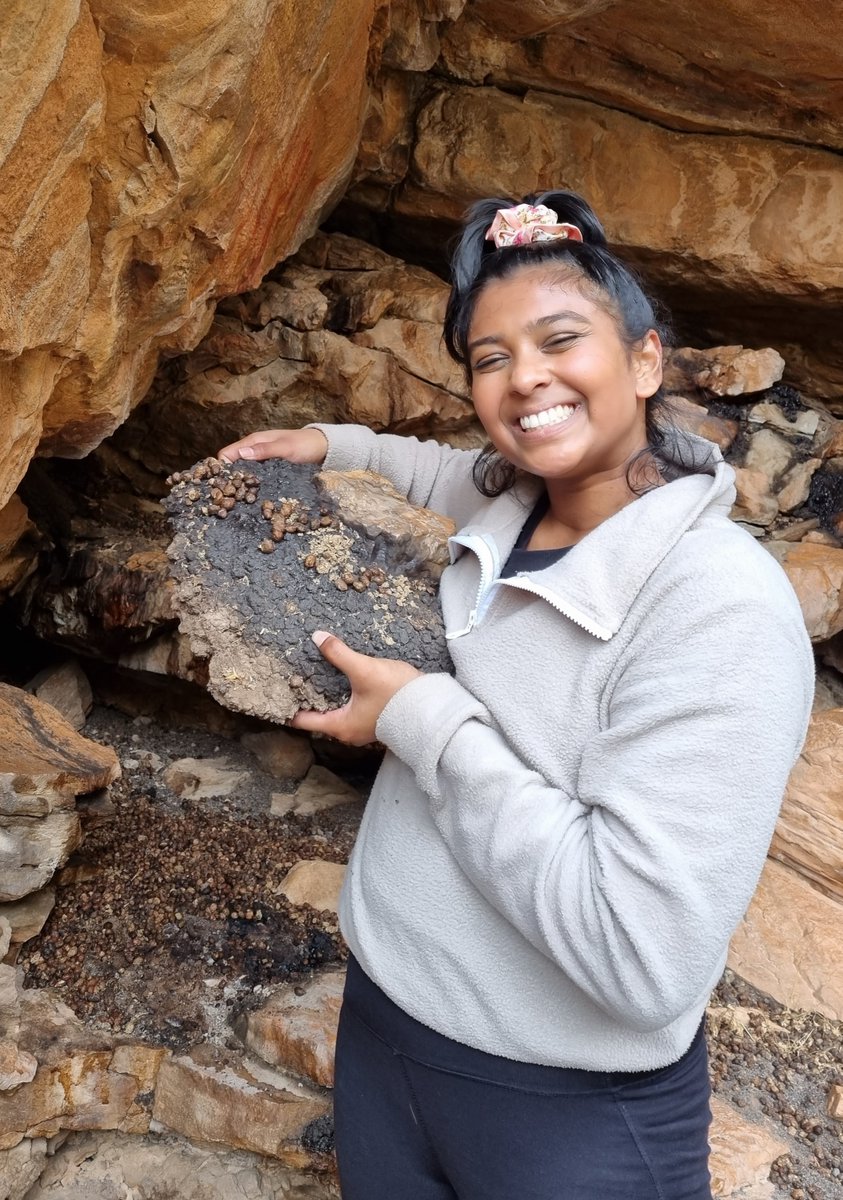 justin_pargeter's tweet photo. Hyrax middens are high-resolution climate records trapping organic matter datable using 14C. Funding from @nyuniversity's Climate Change seed grant allows the Boomplaas project to sample nearby middens. Here @The_Palaeolab introduces hyrax midden survey techniques to SA students. https://t.co/56l5YAVs94