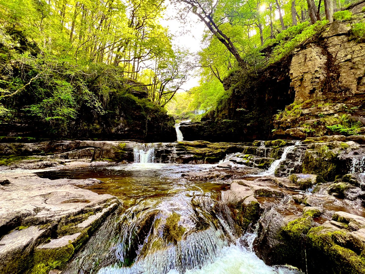 atiyaalam's tweet photo. The four majestic Brecon Waterfalls #southwales #brecons #breconbeaconnationalpark #waterfalls https://t.co/W2OBtXIFHw