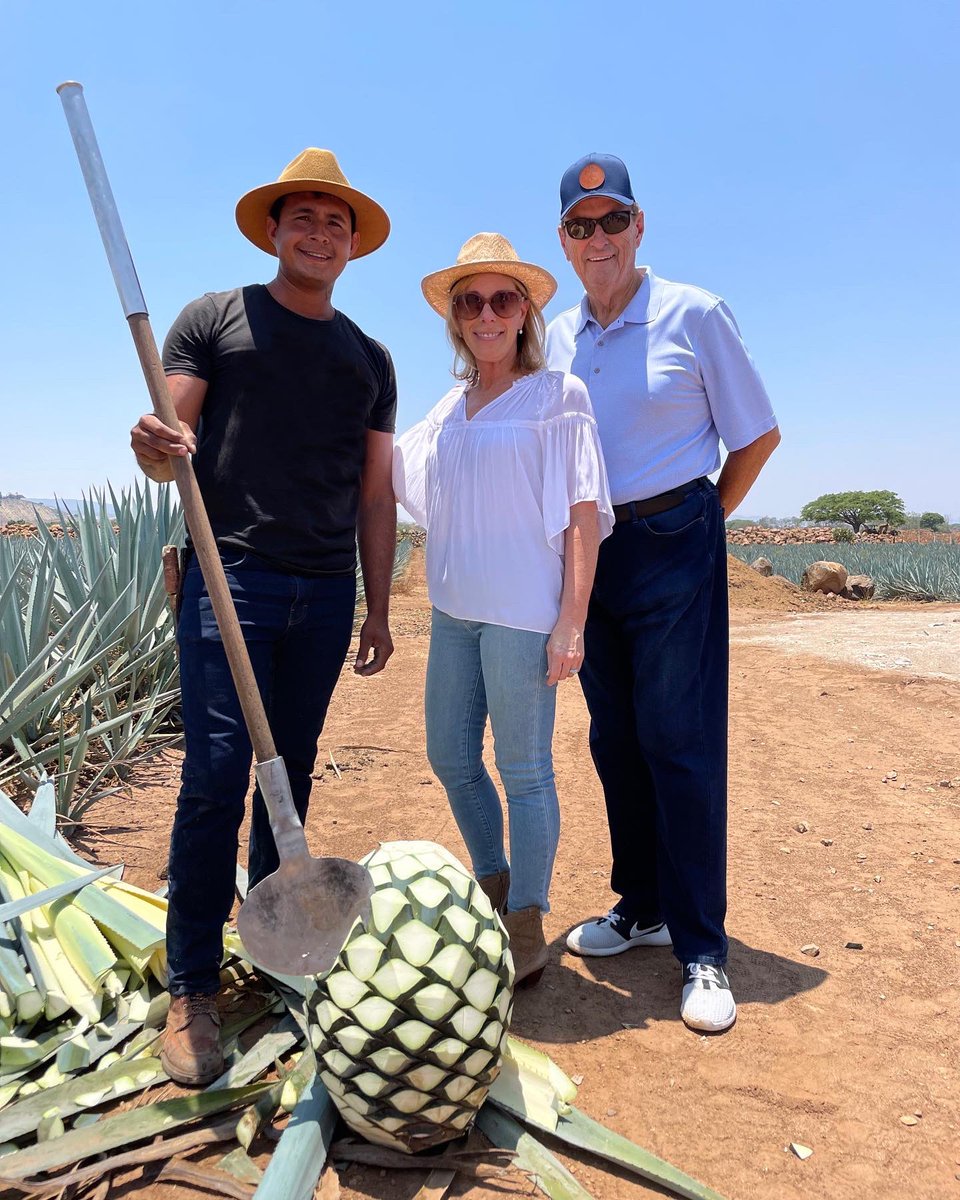 sanditreliving's tweet photo. Celebrating Jim’s birthday in Jalisco, Mexico, with some fresh cut agave. https://t.co/om9ywsixro