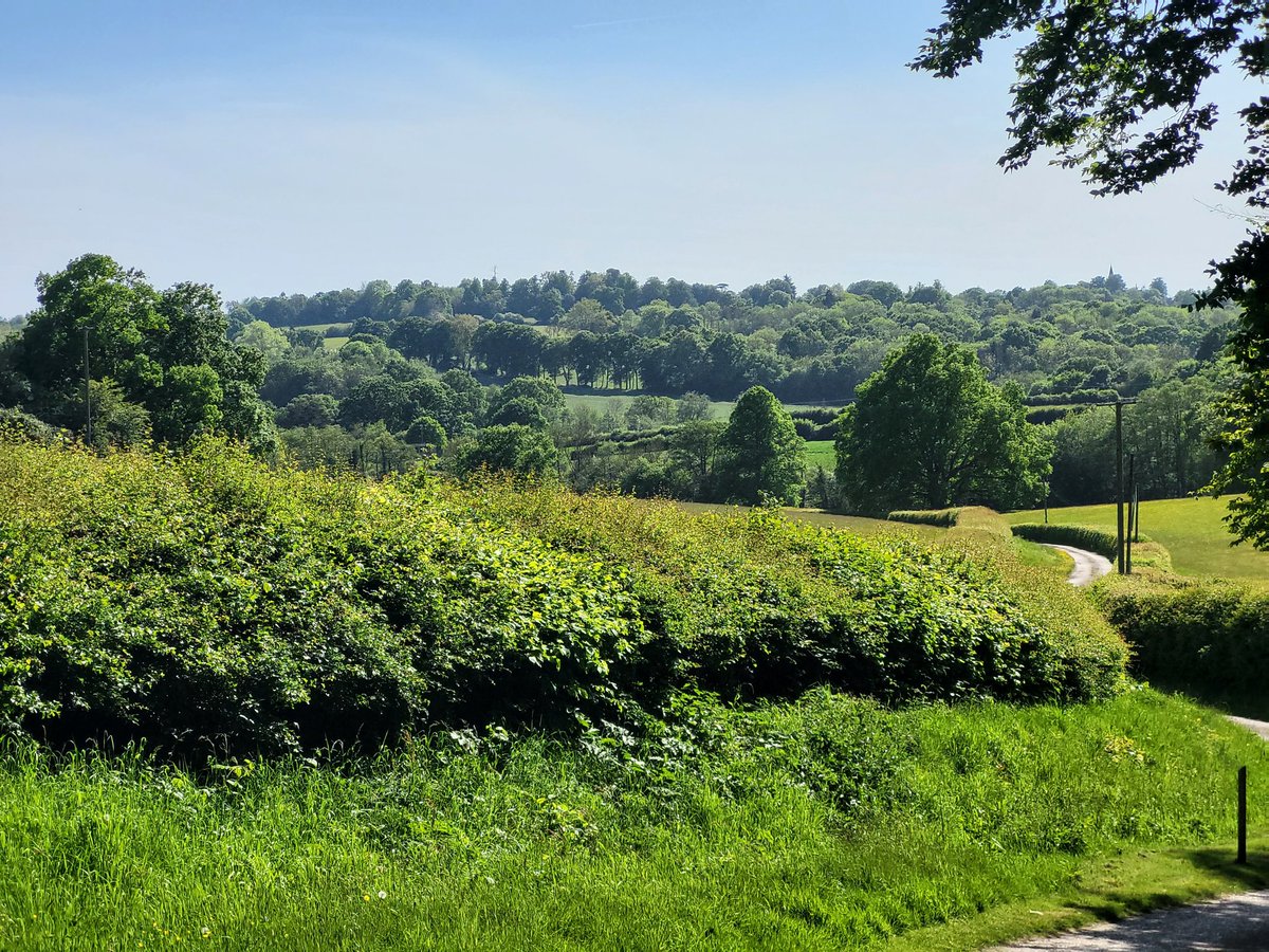 Was today the first proper day of summer? #weald #visitkent #visit1066 #Summer2022 #lovesoutheastengland @KentScenes