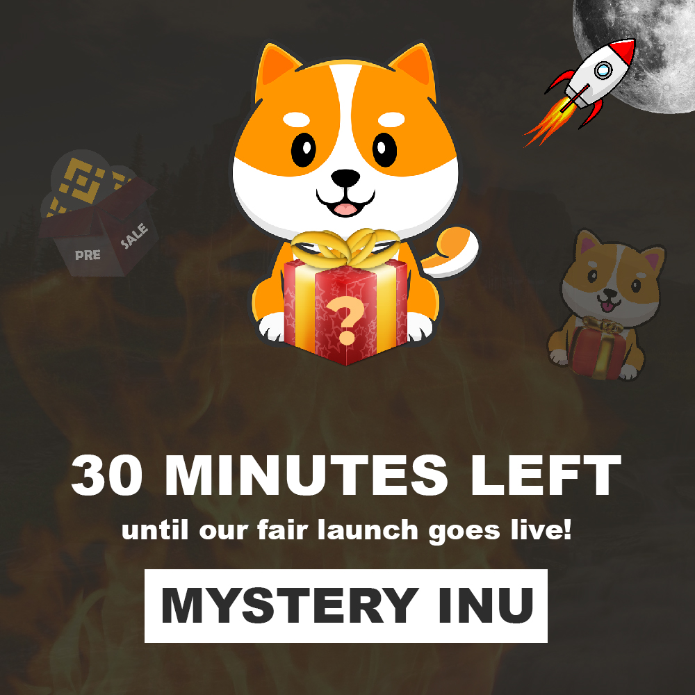 mystery_inu's tweet photo. ⏰ This is it, 30 minutes until our Fair Launch!

💪 No better time to stock up your bags for FREE through our Mystery Box platform while the market is down

👉 Presale
https://t.co/3AXQfbGfX2

#bscgem #doge #shib #luna https://t.co/6kqv3wRToO
