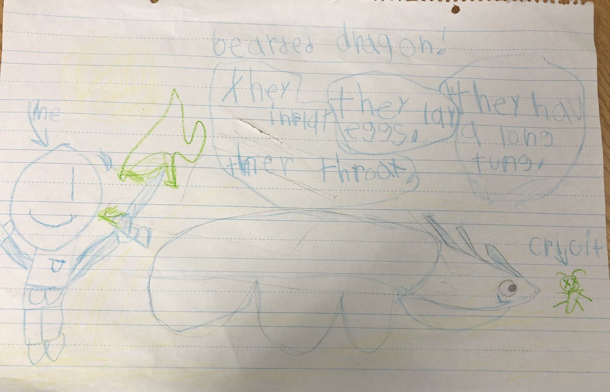 EllieFater's tweet photo. I am so proud of how my students performed on their culminating Capstone Projects this year! #WarrenWill They spent 2 weeks researching a desert animal. First, they collaborated to create a poster. https://t.co/2NtsIz7JcT