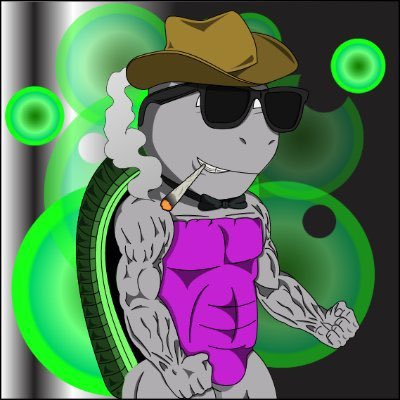 badturtles9999's tweet photo. @MariShioshvili https://t.co/usJbrj0taN