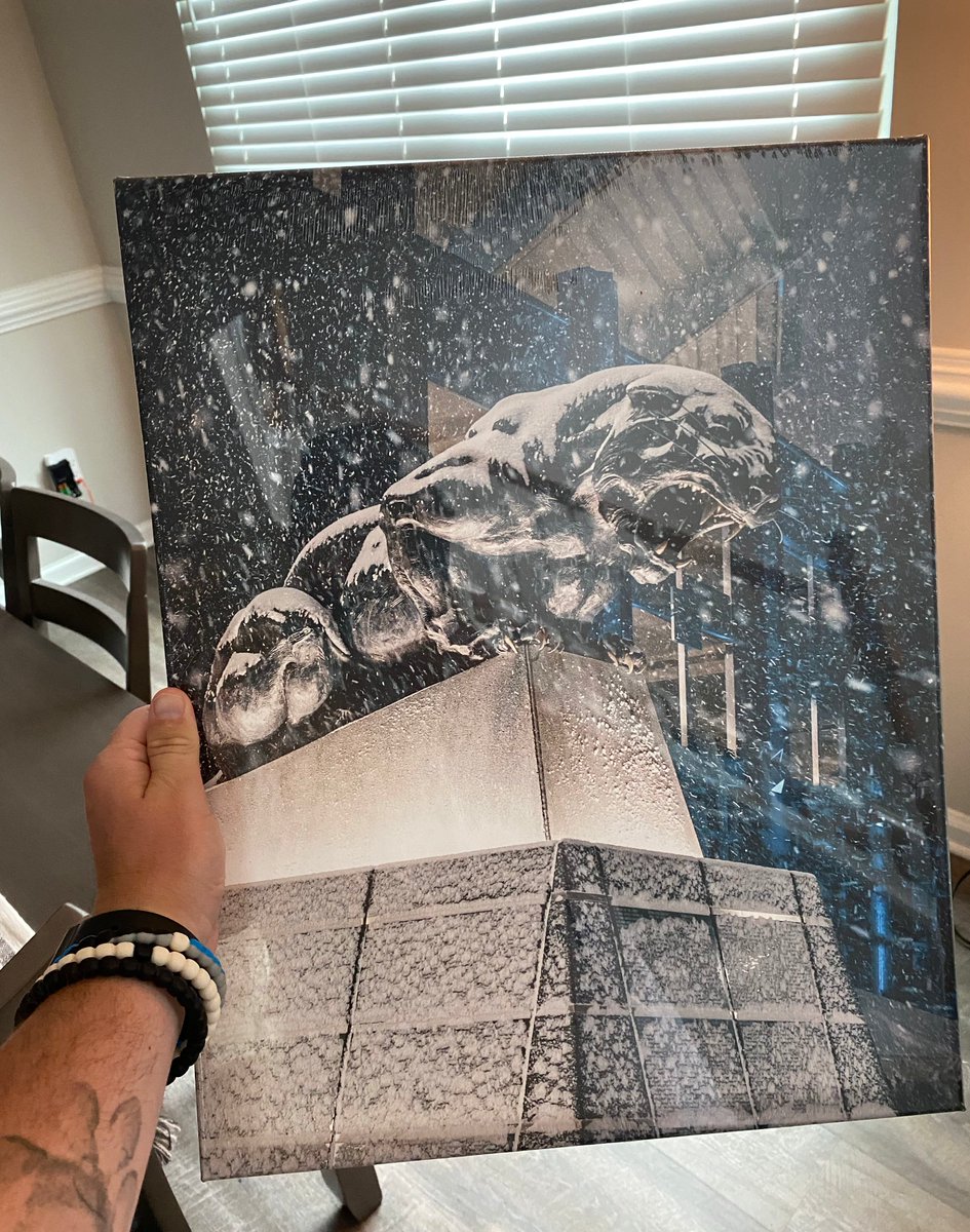 In honor of today being my 5 year mark of moving to Charlotte, I am giving away a 20x16 canvas of one of my favorite memories in Charlotte. I felt like my two homes collided in one, when I saw LEGIT snow at the stadium and photographed this moment.

Just like + retweet to win!