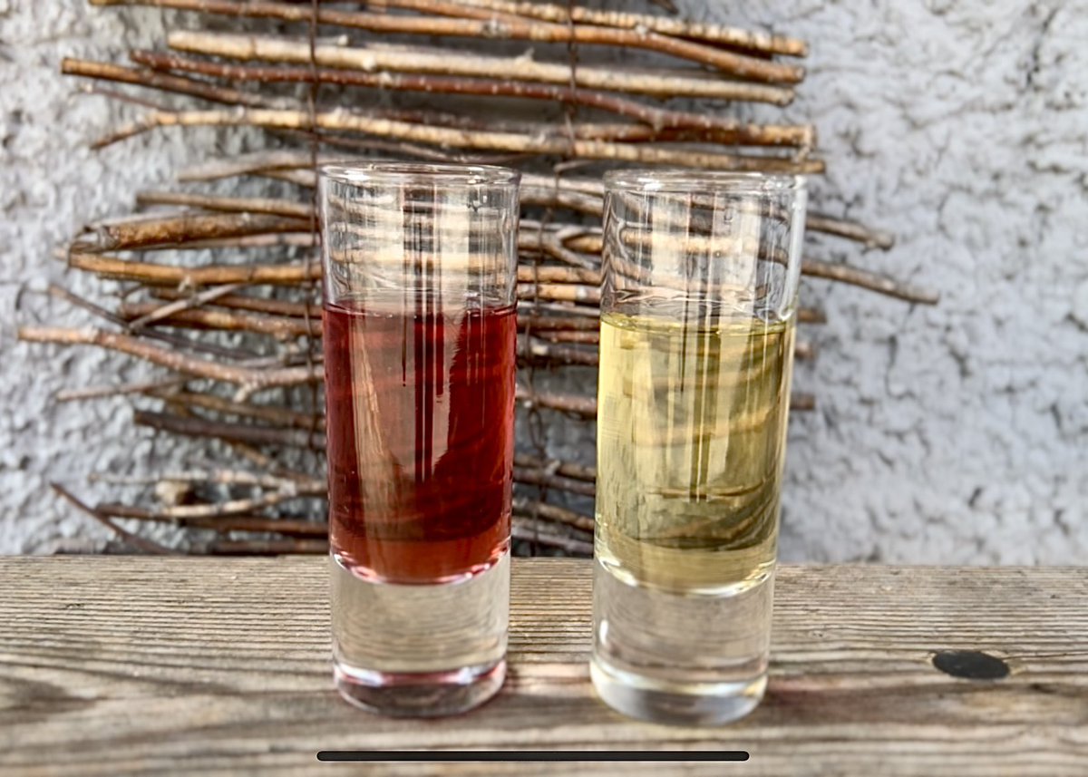 We’ve heard how vital bees are to the future of not only food production, but the whole planet. So we enjoyed visiting Rosenzopf beekeepers in the region of Graz today. They make delicious forest, wildflower and chestnut honeys as well as honey wine! #TravelDeeperGraz #VisitGraz