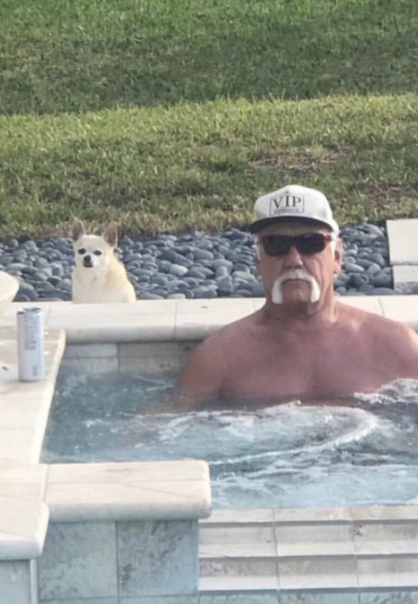 steezysloth's tweet photo. weekend vibes https://t.co/LiIf00RJOO