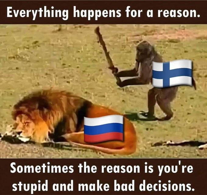 Che_vell's tweet image. 