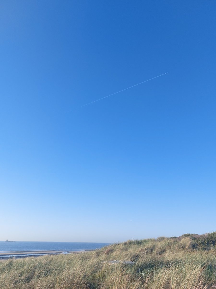Dag strand.
Tot de volgende keer.
Gauw.
Hoop ik.