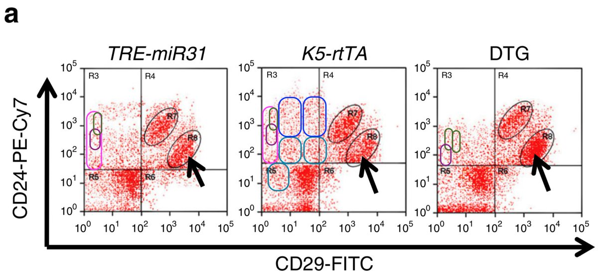 MicrobiomDigest's tweet photo. Oh dear. @NatureComms making #BadEditorialDecision here by issuing a correction.
"The original version of this Article contained an error in Fig. 4.  In the original Fig. 4a, different quadrants [...] contained similar unexplained groups of data points." 
https://t.co/rUoVSjNgQj https://t.co/ICSmdeu62p