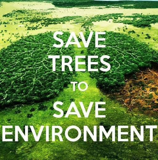 AlphaCharli11's tweet photo. Save #Kahuta, Save #Panjpeer
#کہوٹہ_کےجنگلات_بچاؤ https://t.co/ubW33QpyNT