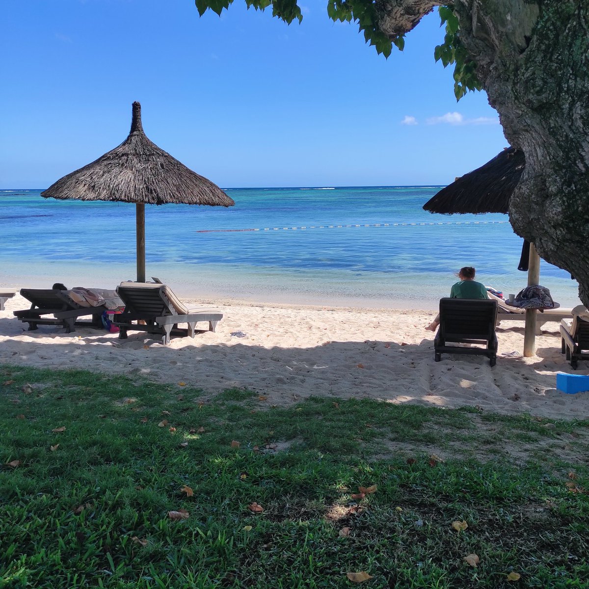 Mauritius
#holiday #clubmed #Paradise #lapointauxcannoniers #dreamcometrue