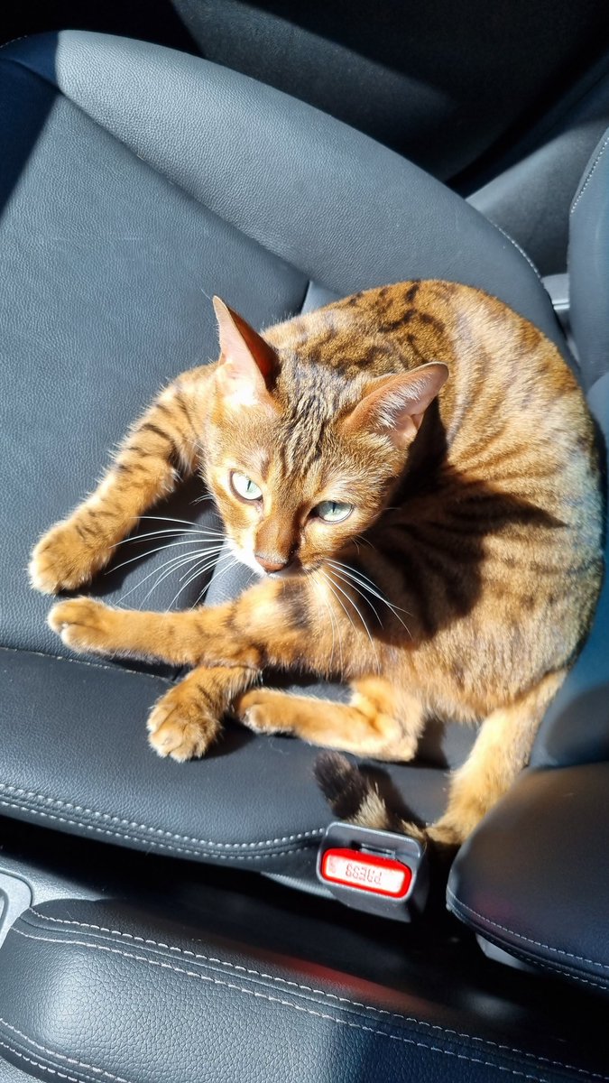 CLEBITCH's tweet photo. Saaaabado de sol... https://t.co/9qe80woWCL