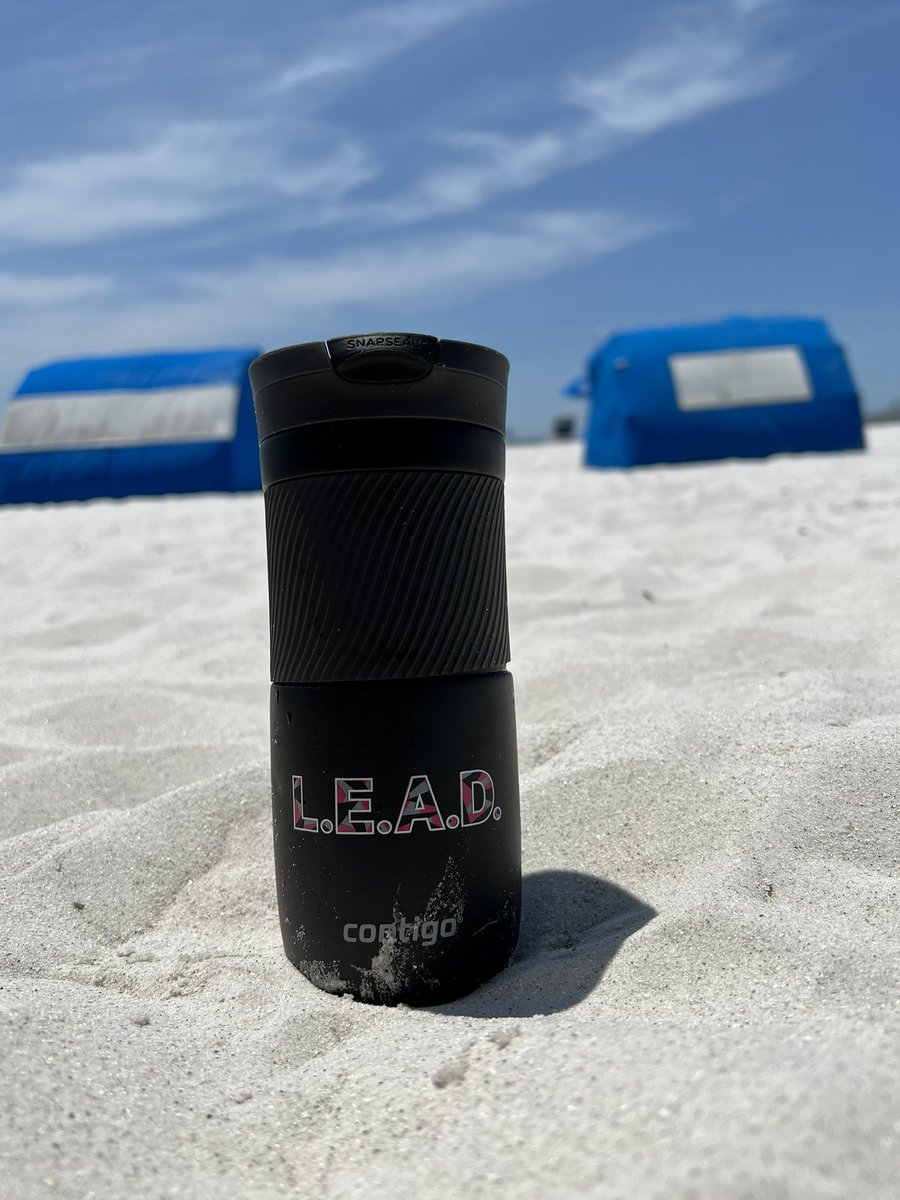 Congratulations to all the LEAD participants and mentors this year! Take advantage of this opportunity to develop next level skills while expanding your network. looking forward to serving as a mentor, my goal is to be as good as <a href="/kosmoski/">Ed Kosmoski</a> was to me as a mentor last year!