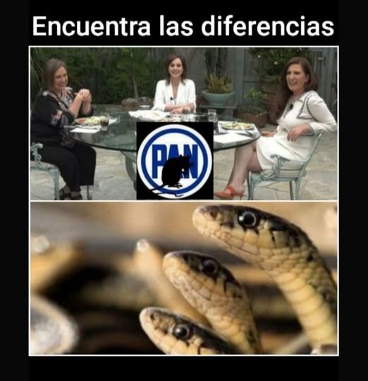 laadelita3's tweet photo. Encuentra las diferencias🤔😂😂😂😂😂 https://t.co/JDtwRyqJ1f