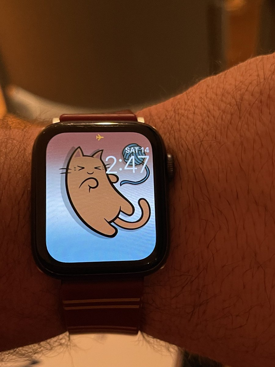 ThadiusCreed's tweet image. #gatewaykittiesmakereallyniceiwatchscreenphotosandyoushouldgetonelol. #orgetapuppy #hashtagabuse gatewaykitties.com