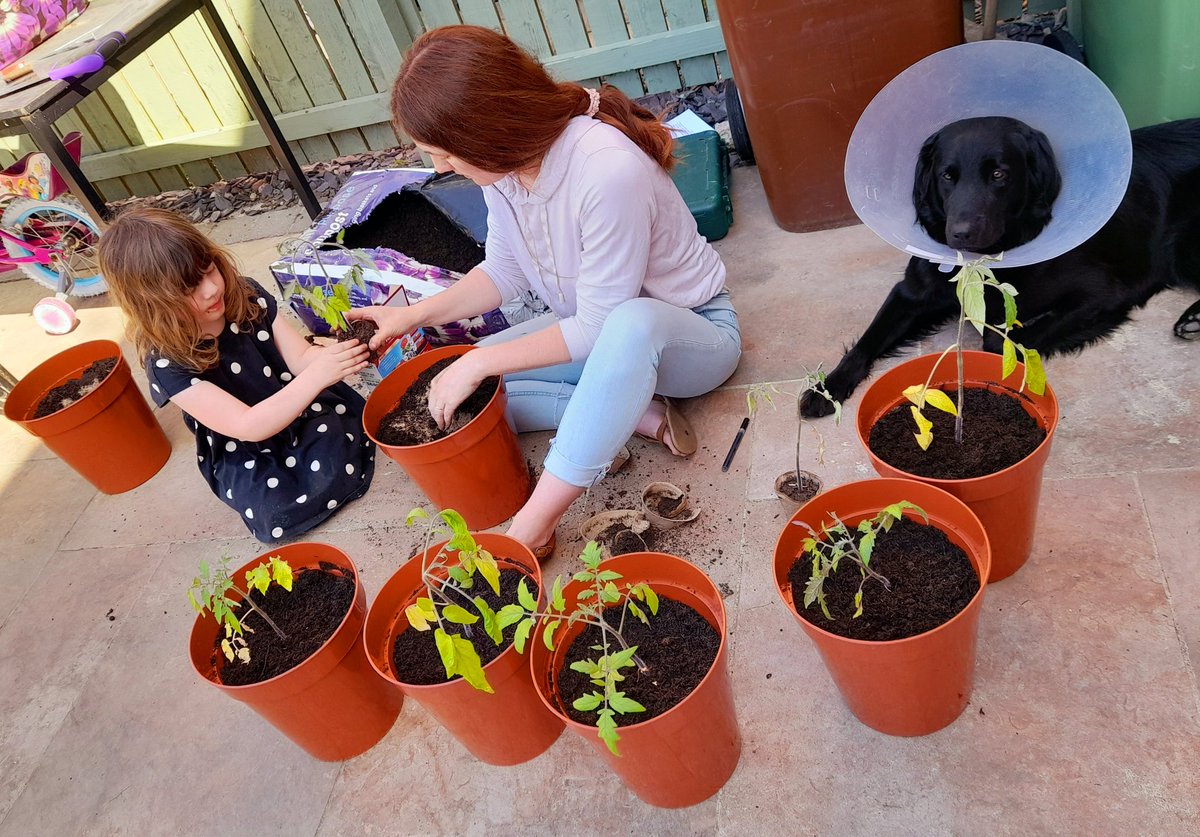 RecruitmentDude's tweet photo. Our beans and tomatoes graduated today.

So proud 👩‍🎓🧑‍🎓👨‍🎓 https://t.co/b9dweZN3xt