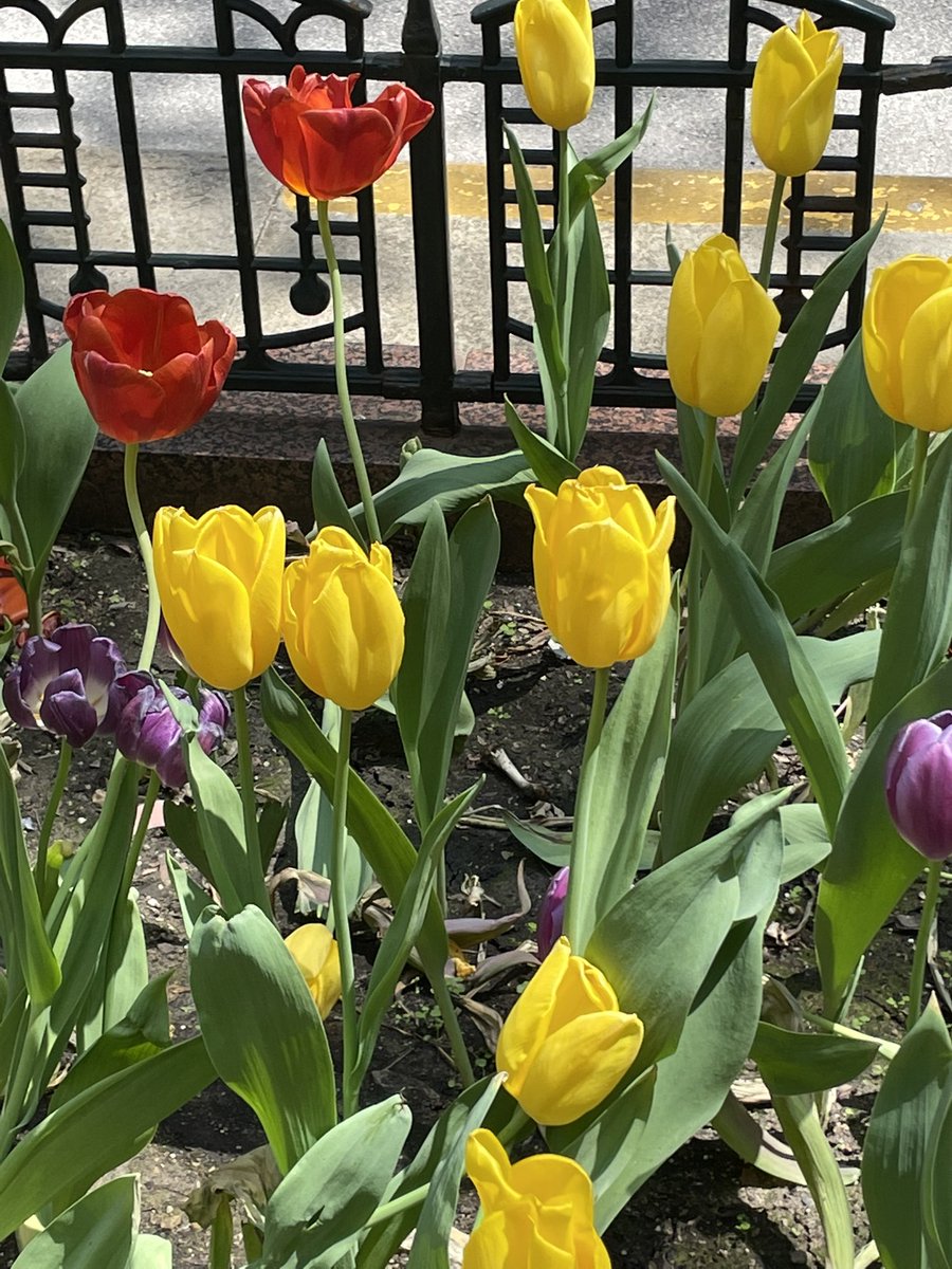 GlobalKdsl's tweet photo. #SpringtimeChi https://t.co/NzdFD3RoaH