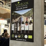 Photo by Vinecol (@vinecol)