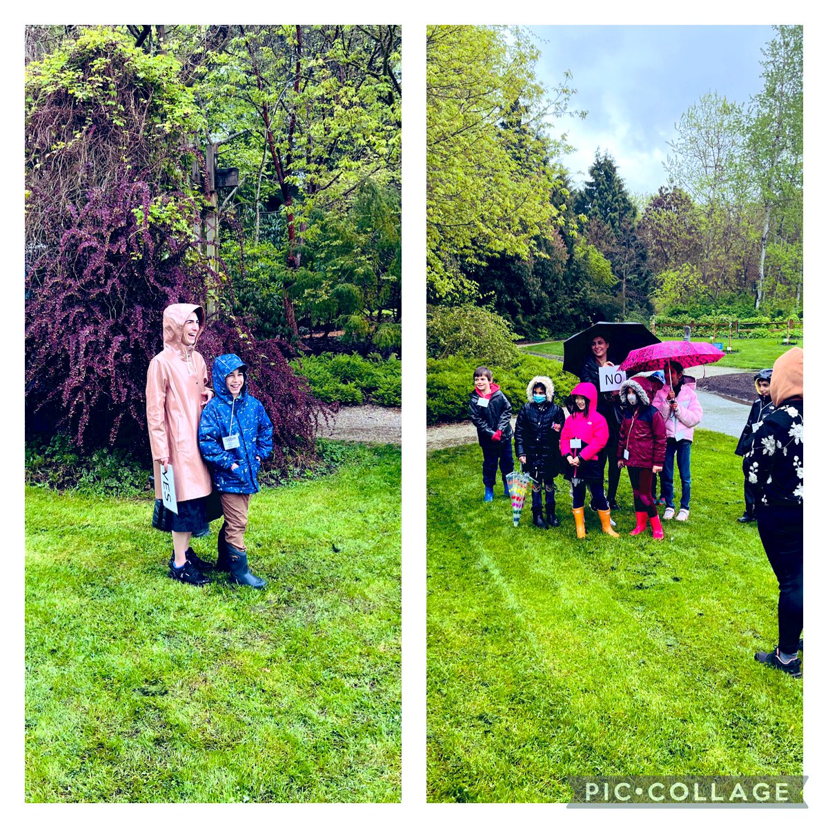 MsSpicerteaches's tweet photo. Division 8 has been engaging in lots of hands on learning as we discover the importance of pollinators and find examples of plant life cycles in our environment. #outdooreducation https://t.co/DVoTiws5pC