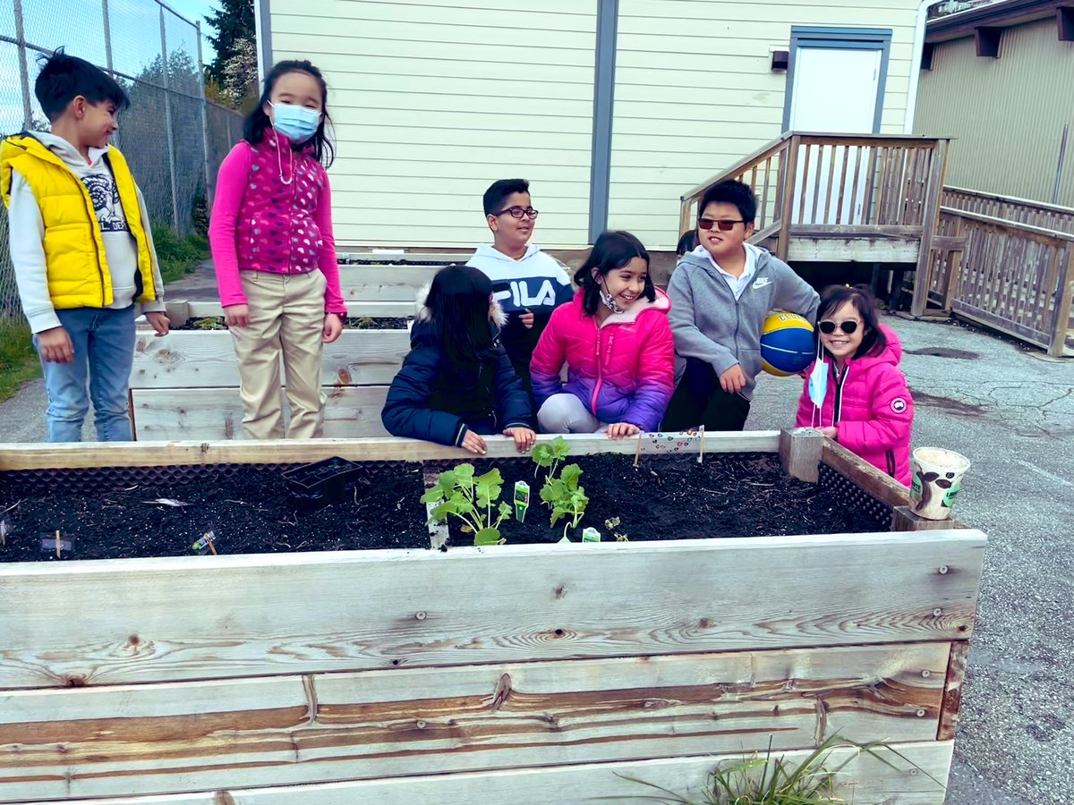 MsSpicerteaches's tweet photo. Division 8 has been engaging in lots of hands on learning as we discover the importance of pollinators and find examples of plant life cycles in our environment. #outdooreducation https://t.co/DVoTiws5pC