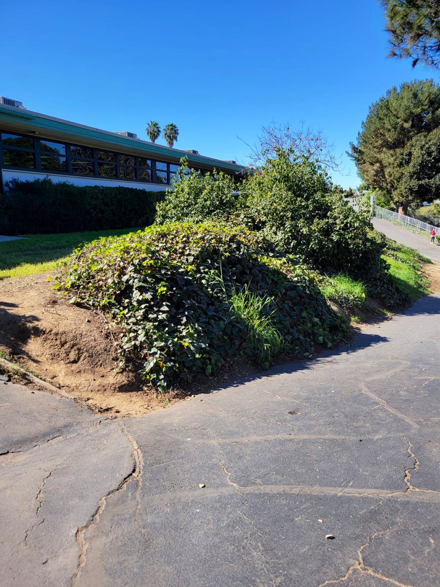 NSD_Castillo's tweet photo. Then and Now. #NSD150 @NSDLeighangela #NSDnow @LasPalmasNSD1 @laspalmaspta We have a few details to iron out, like umbrellas, but I want to thank everyone @ LP for their patience and cooperation with this project. Thank you! https://t.co/7VZvFanl23