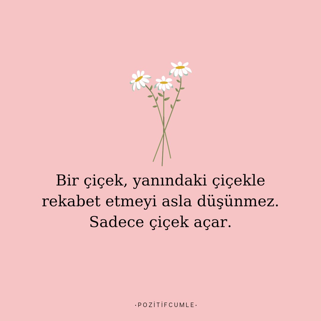 POZİTİF CÜMLELER (@pozitifcumle) on Twitter photo 