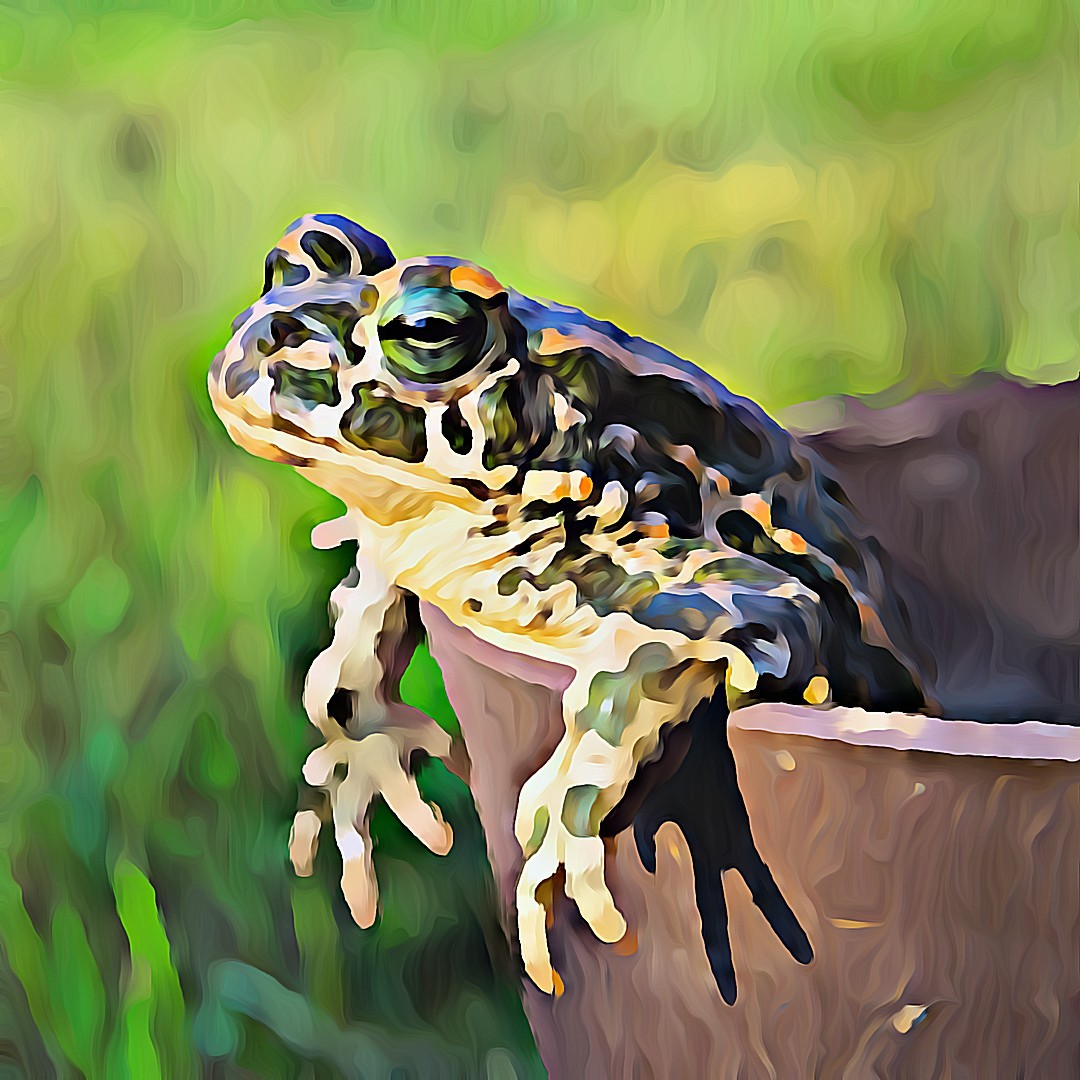 LittleFrogs_NFT's tweet photo. Little Frog #75 has found a new home!

Thanks @AKASophieLash for your support and welcome to the family! https://t.co/JnK5SLBGnA