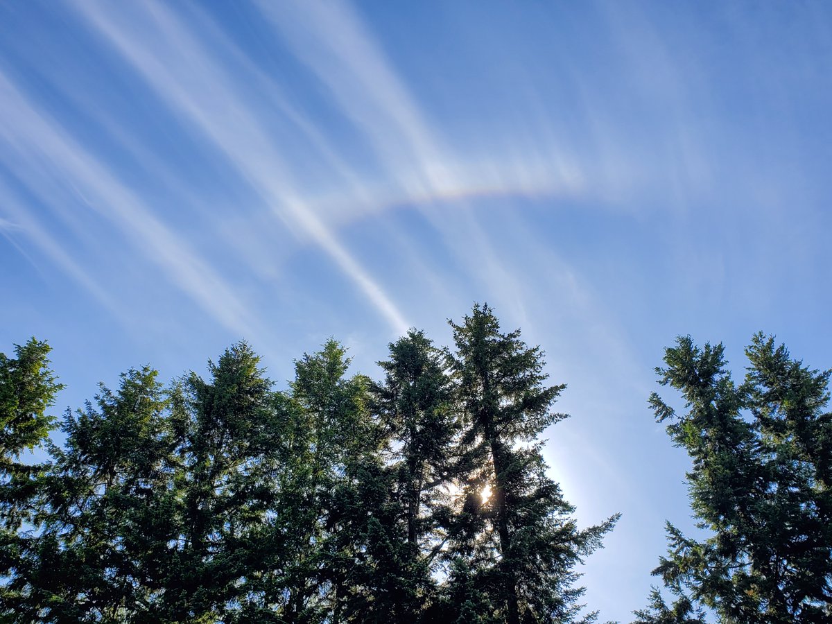 TopCBDExpo tweet media